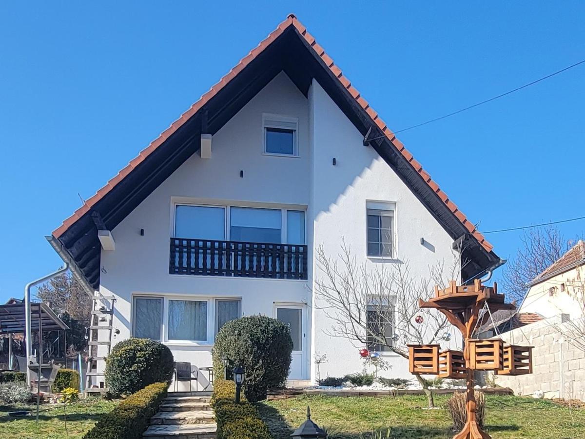 Vila Jovana Врдник Экстерьер фото